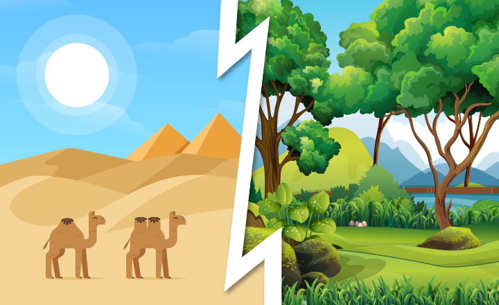 Would You Rather Spend in Desert or in Forest