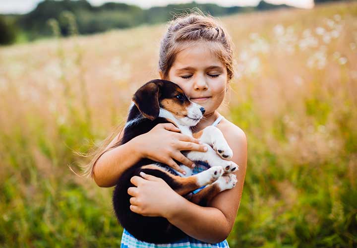 Cute Pet Tag Questions