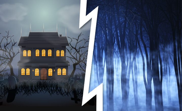 Would You Rather Stay in Haunted House or Dark Forest