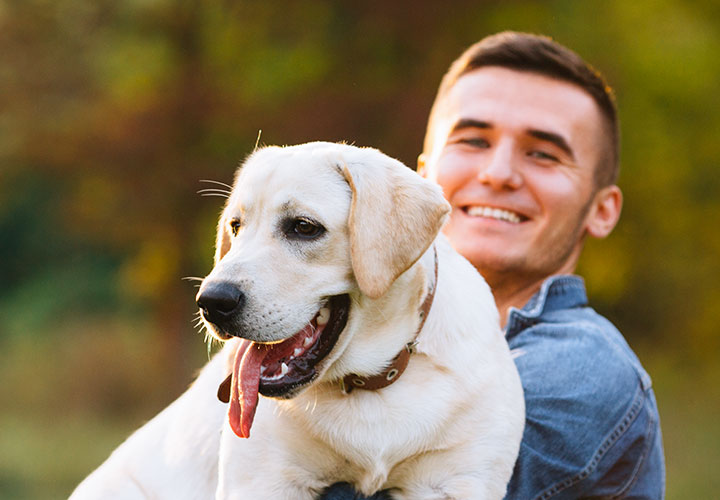 Interesting Pet Tag Questions